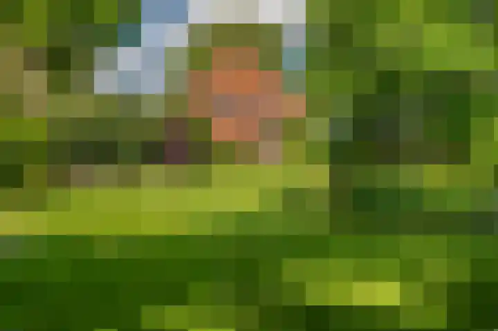 Borgweg 106 Scharmer thumbnail 12