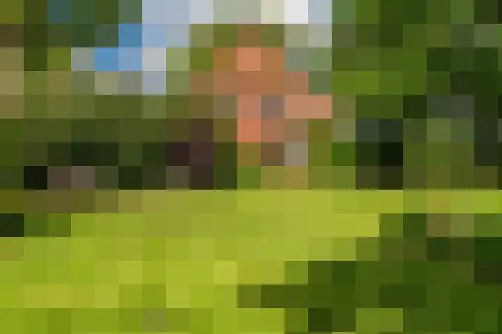 Borgweg 106 Scharmer thumbnail 13