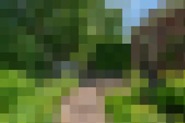 Borgweg 106 Scharmer thumbnail 33