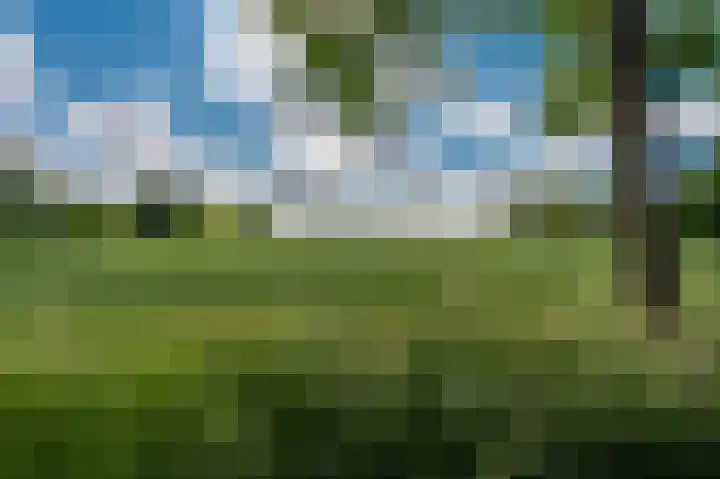 Borgweg 106 Scharmer thumbnail 6