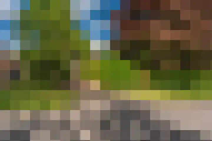 Borgweg 106 Scharmer thumbnail 7