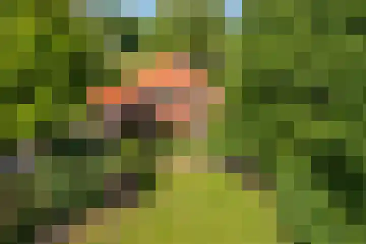 Borgweg 106 Scharmer thumbnail 71
