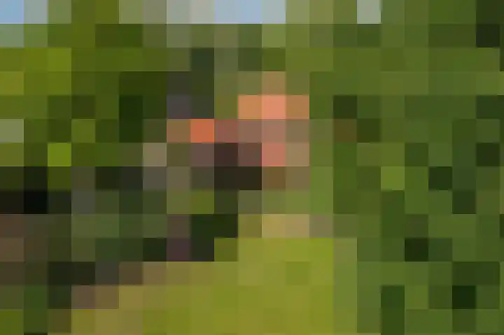 Borgweg 106 Scharmer thumbnail 72