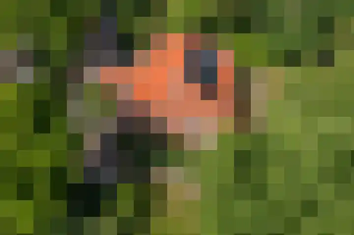 Borgweg 106 Scharmer thumbnail 73