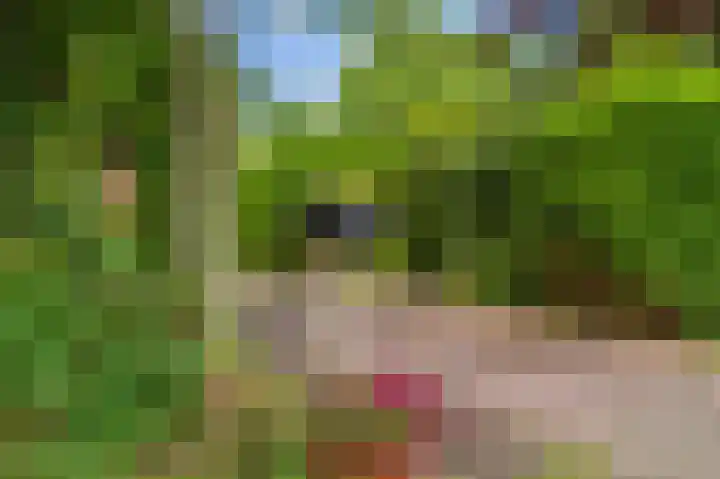 Borgweg 106 Scharmer thumbnail 8