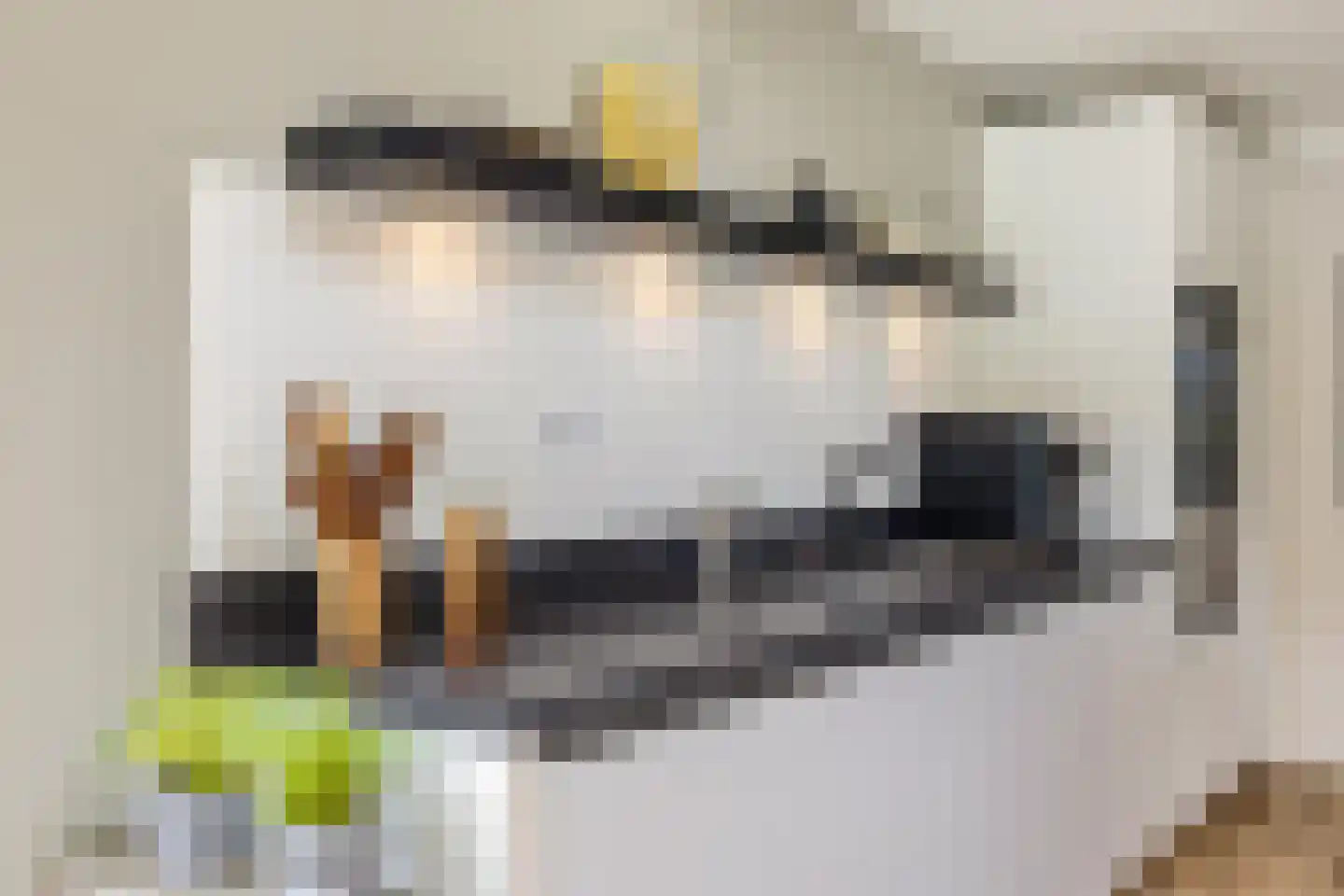 Borgweg 14 Scharmer thumbnail 13