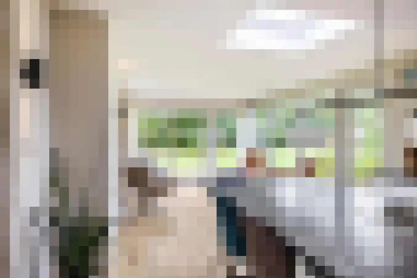 Borgweg 14 Scharmer thumbnail 17