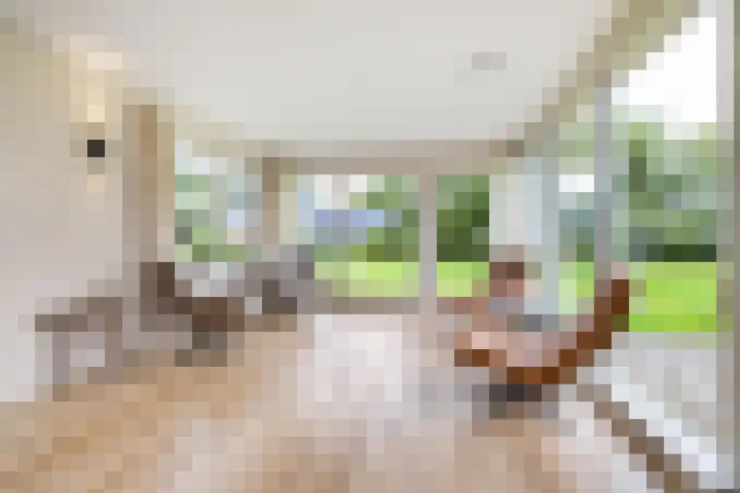 Borgweg 14 Scharmer thumbnail 18