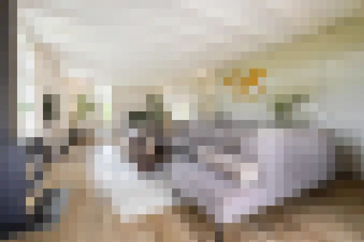 Borgweg 14 Scharmer thumbnail 23
