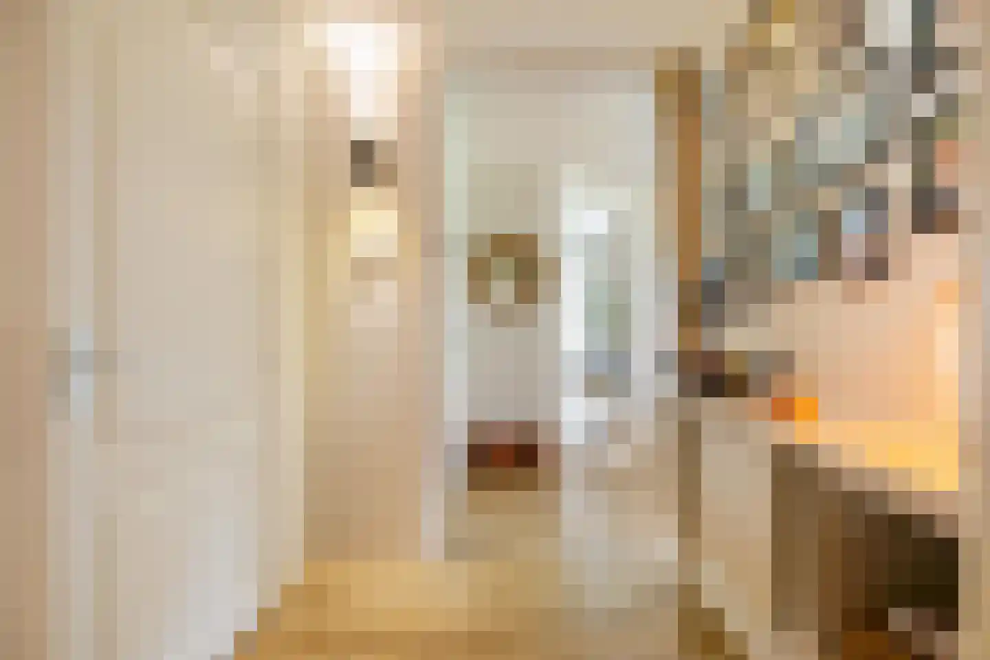 Borgweg 14 Scharmer thumbnail 26