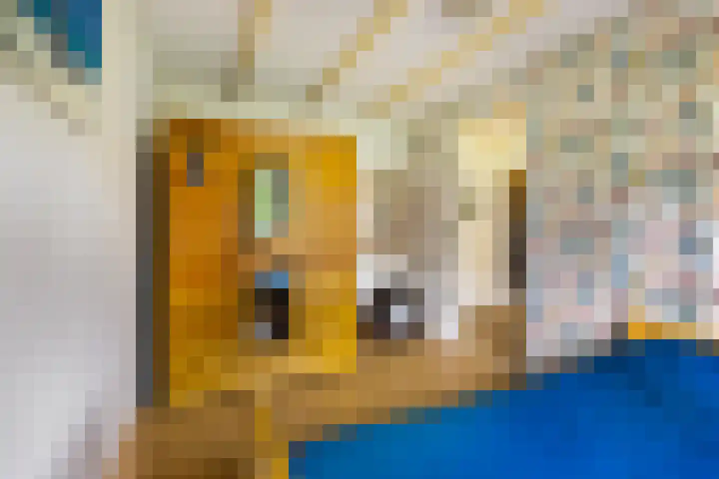 Borgweg 14 Scharmer thumbnail 34