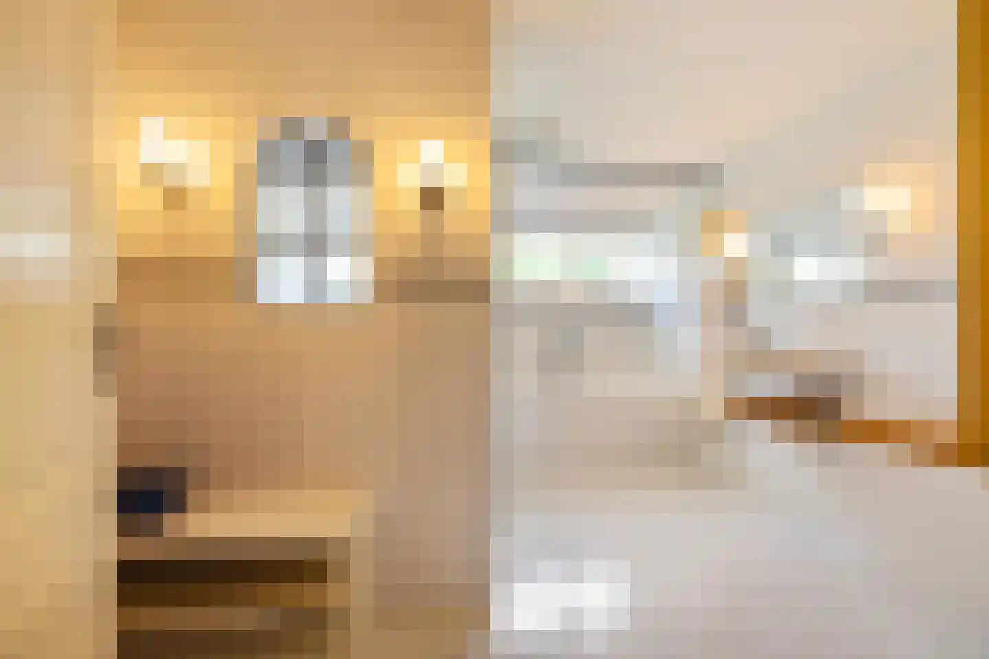 Borgweg 14 Scharmer thumbnail 35