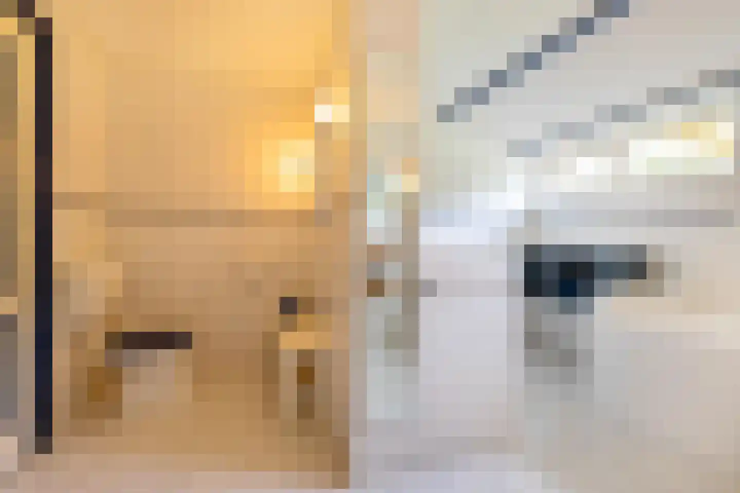 Borgweg 14 Scharmer thumbnail 36