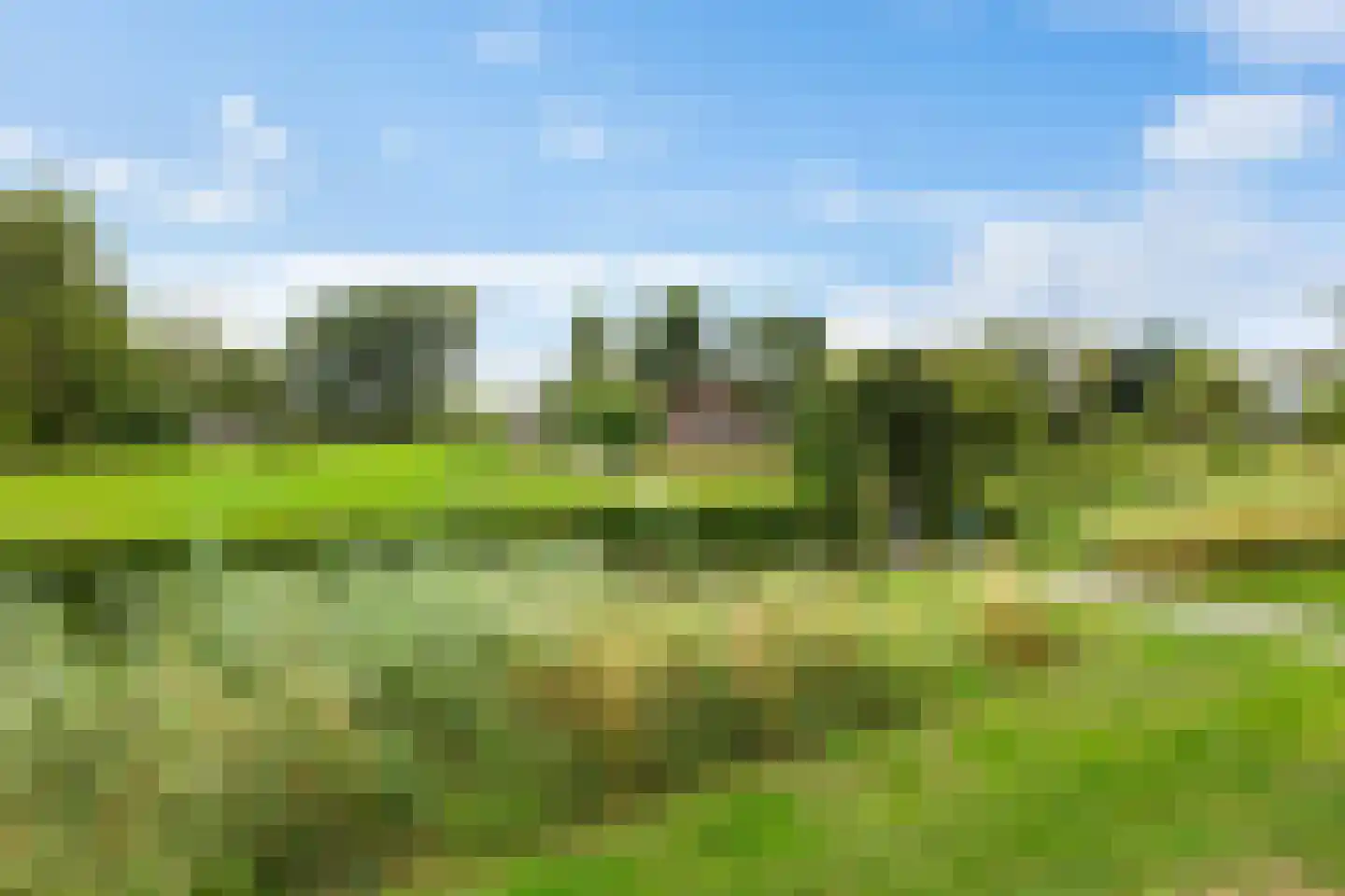 Borgweg 14 Scharmer thumbnail 4