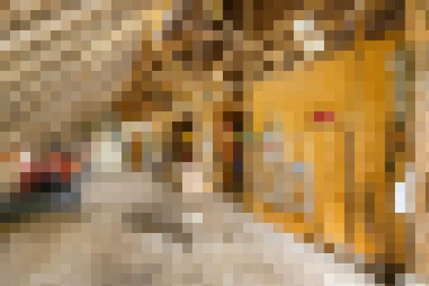 Borgweg 14 Scharmer thumbnail 43