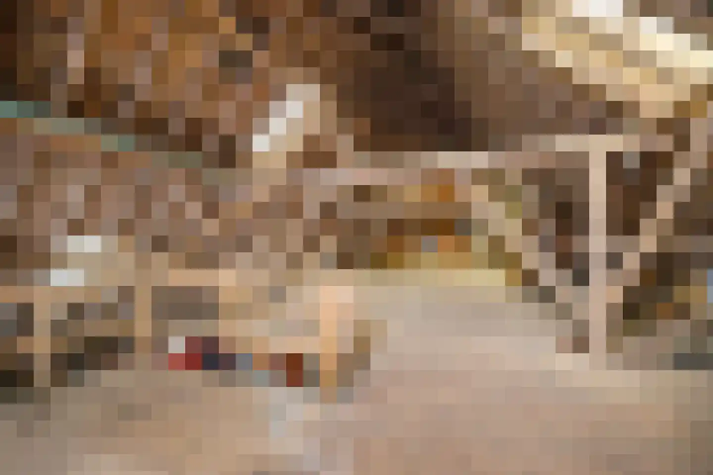 Borgweg 14 Scharmer thumbnail 44