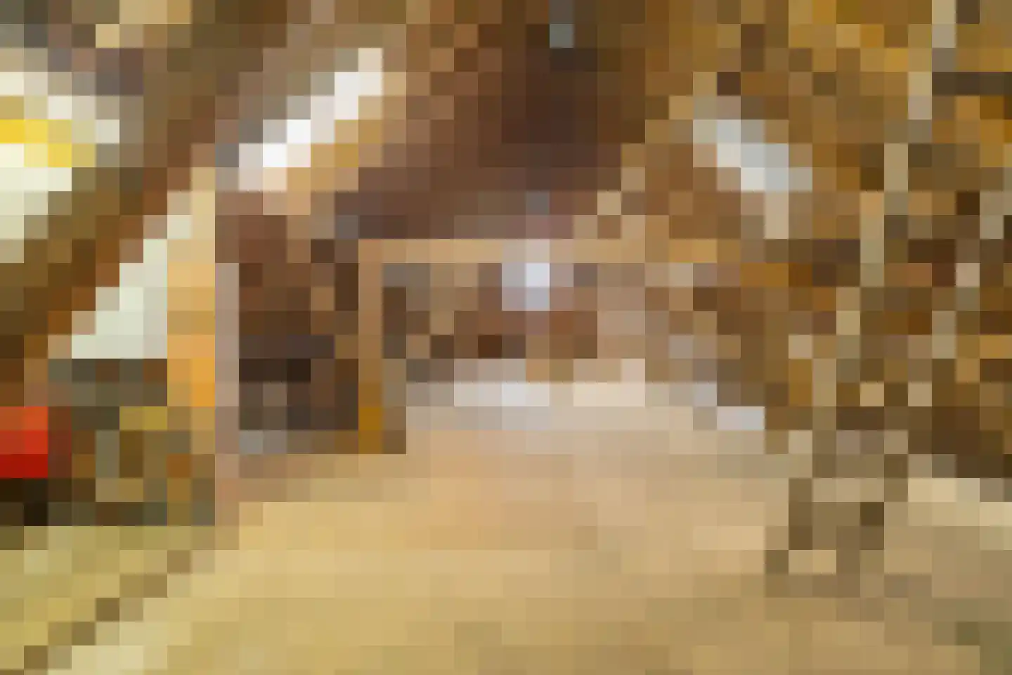 Borgweg 14 Scharmer thumbnail 45