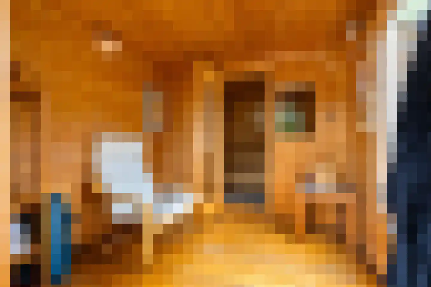 Borgweg 14 Scharmer thumbnail 50