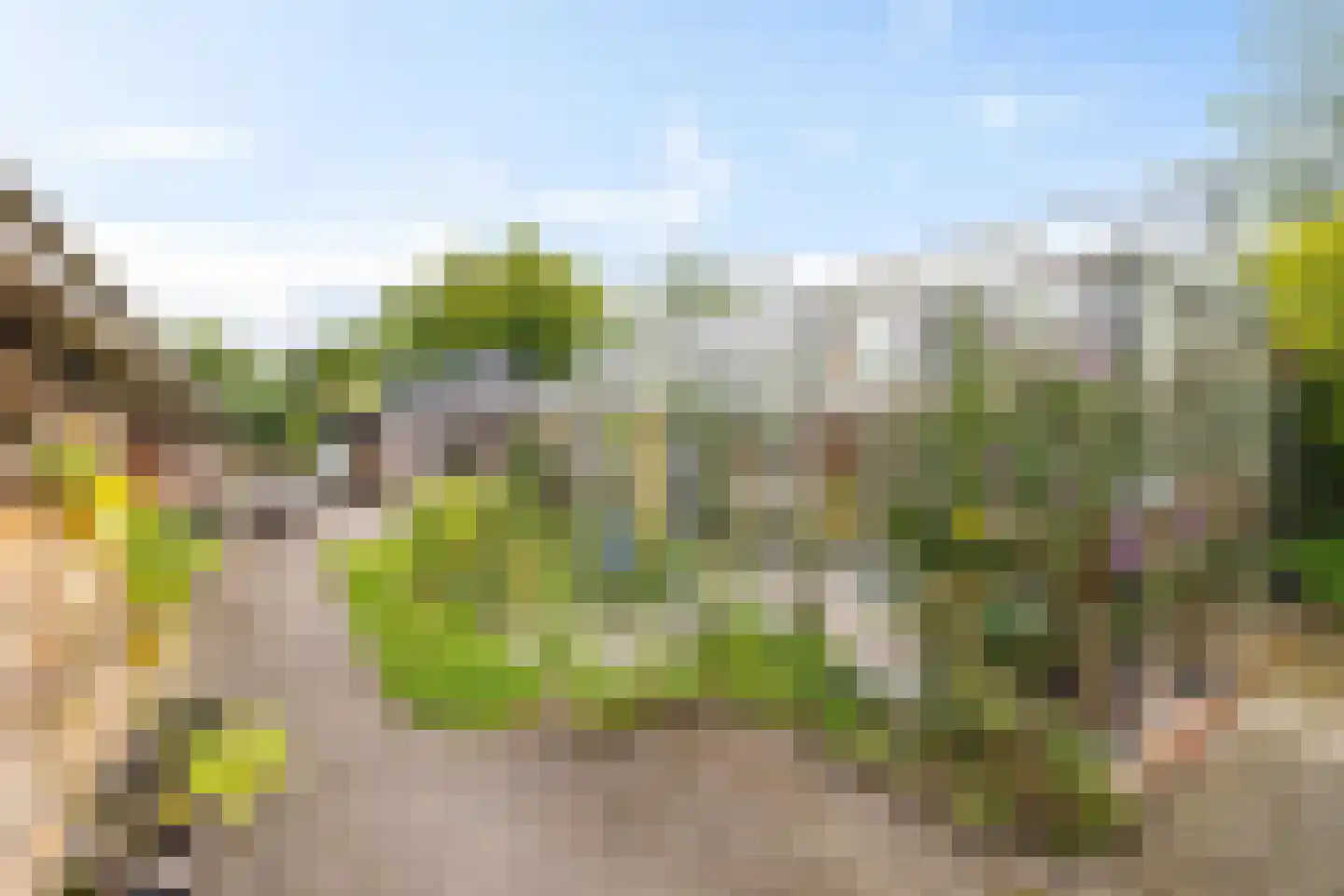 Borgweg 14 Scharmer thumbnail 53