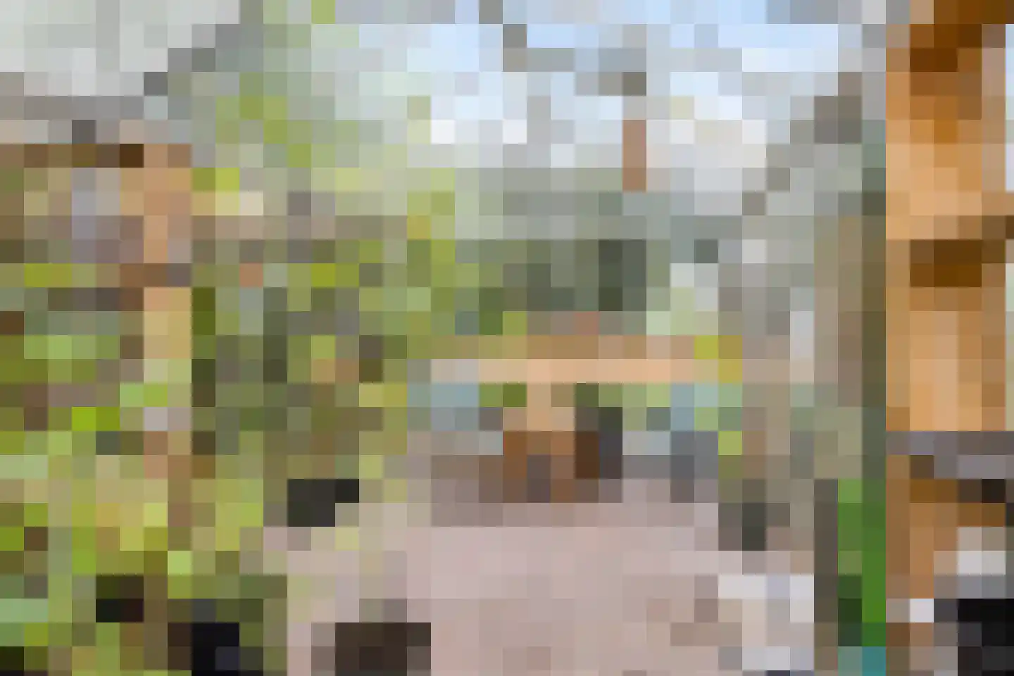 Borgweg 14 Scharmer thumbnail 54