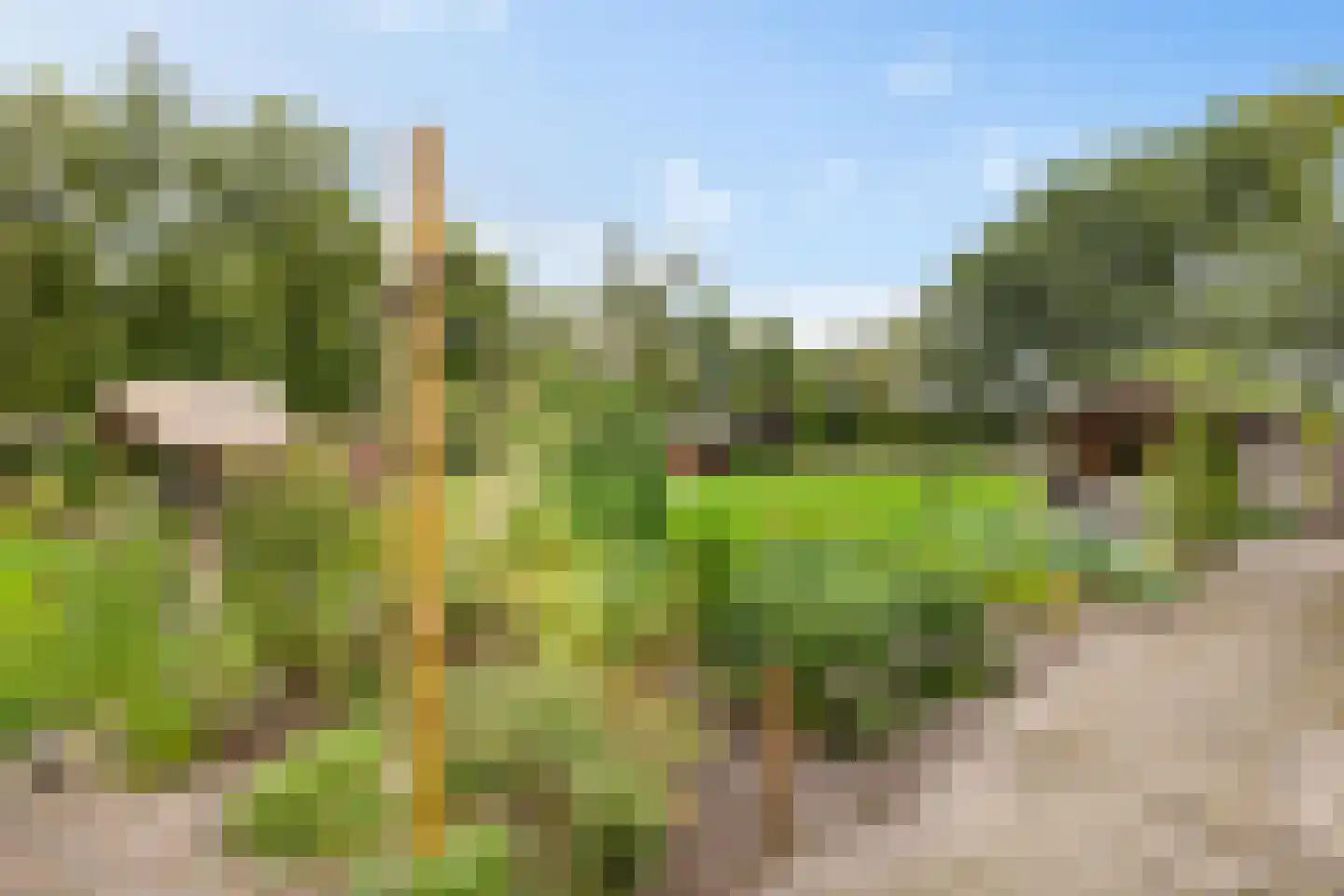 Borgweg 14 Scharmer thumbnail 56