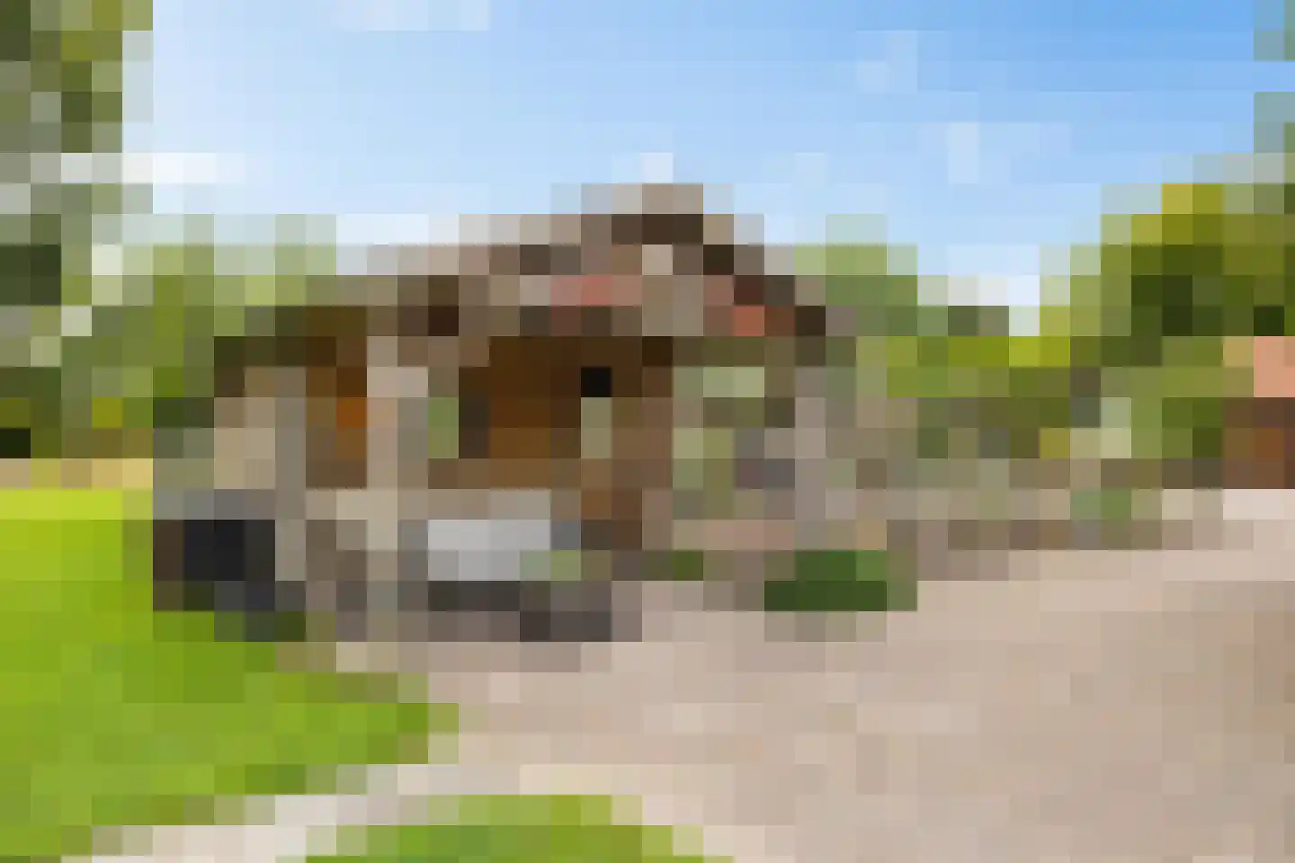 Borgweg 14 Scharmer thumbnail 57