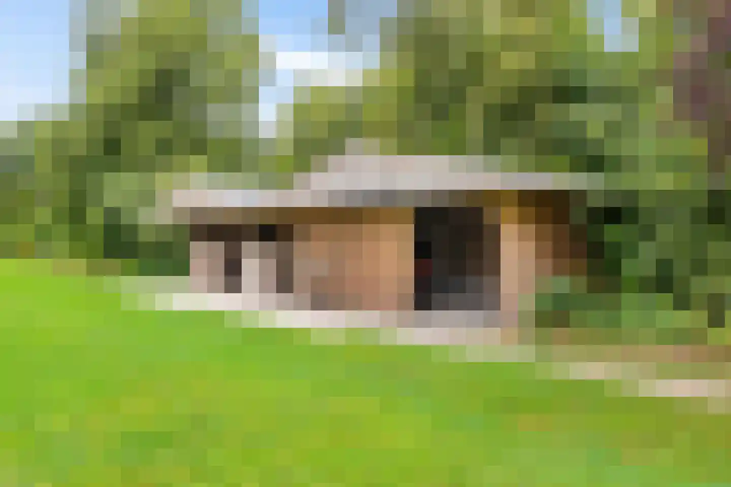 Borgweg 14 Scharmer thumbnail 58