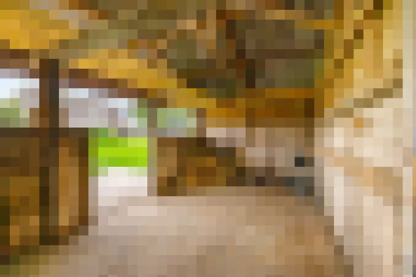 Borgweg 14 Scharmer thumbnail 59