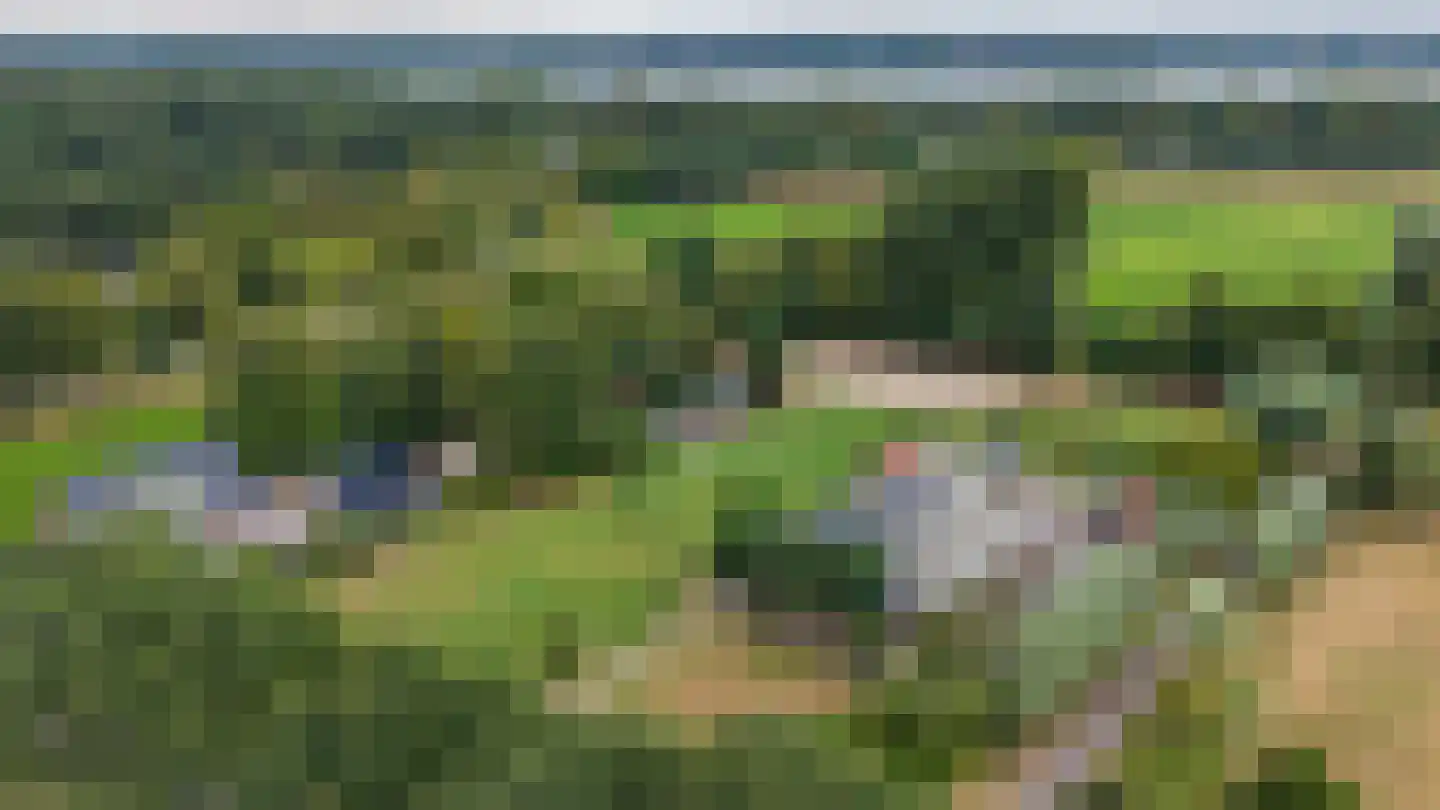Borgweg 14 Scharmer thumbnail 6