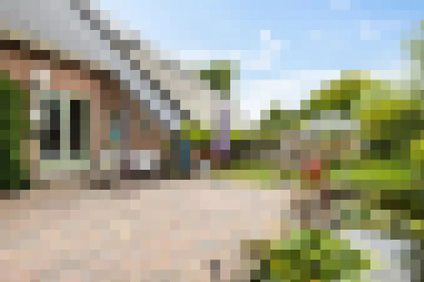 Borgweg 14 Scharmer thumbnail 62