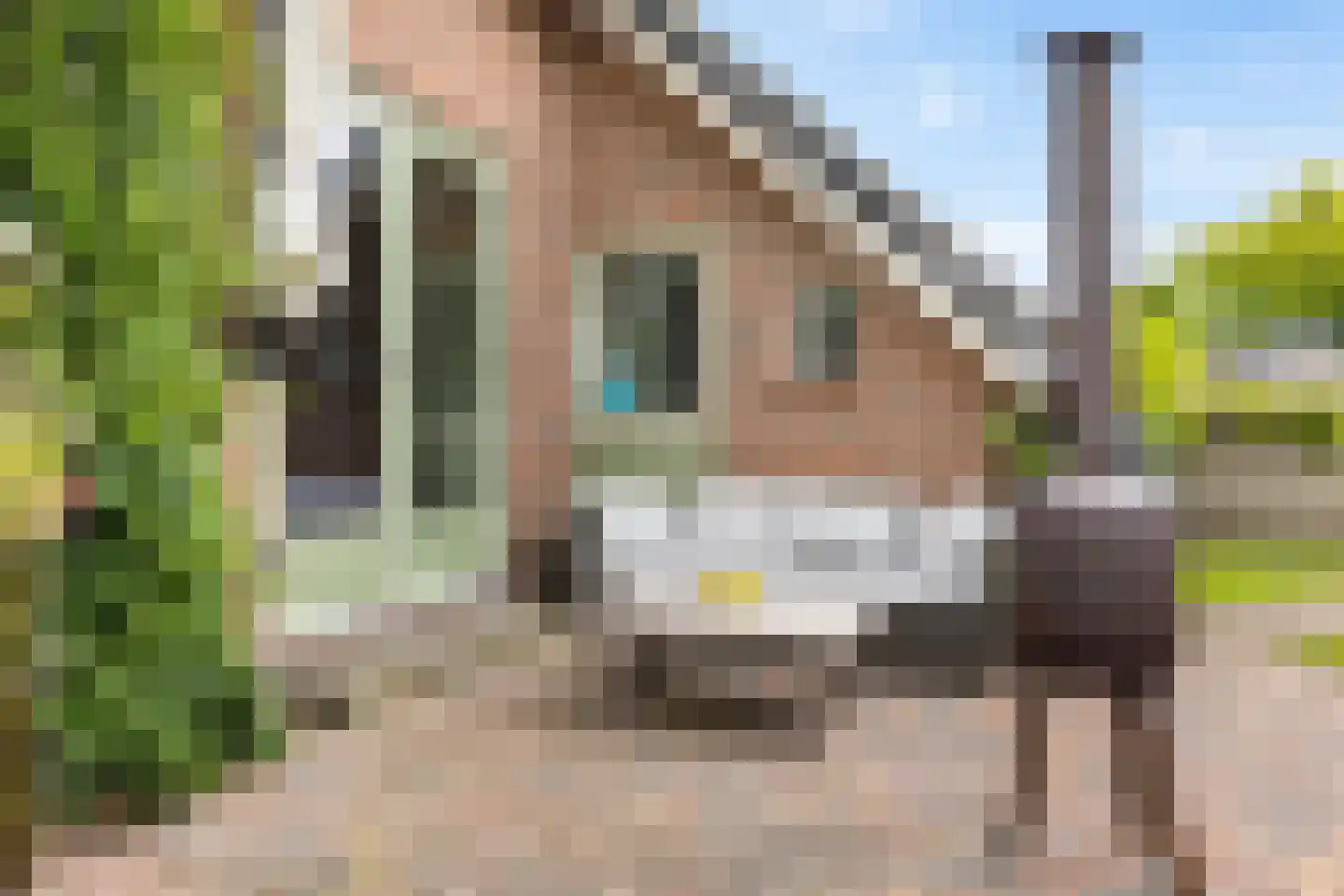 Borgweg 14 Scharmer thumbnail 63