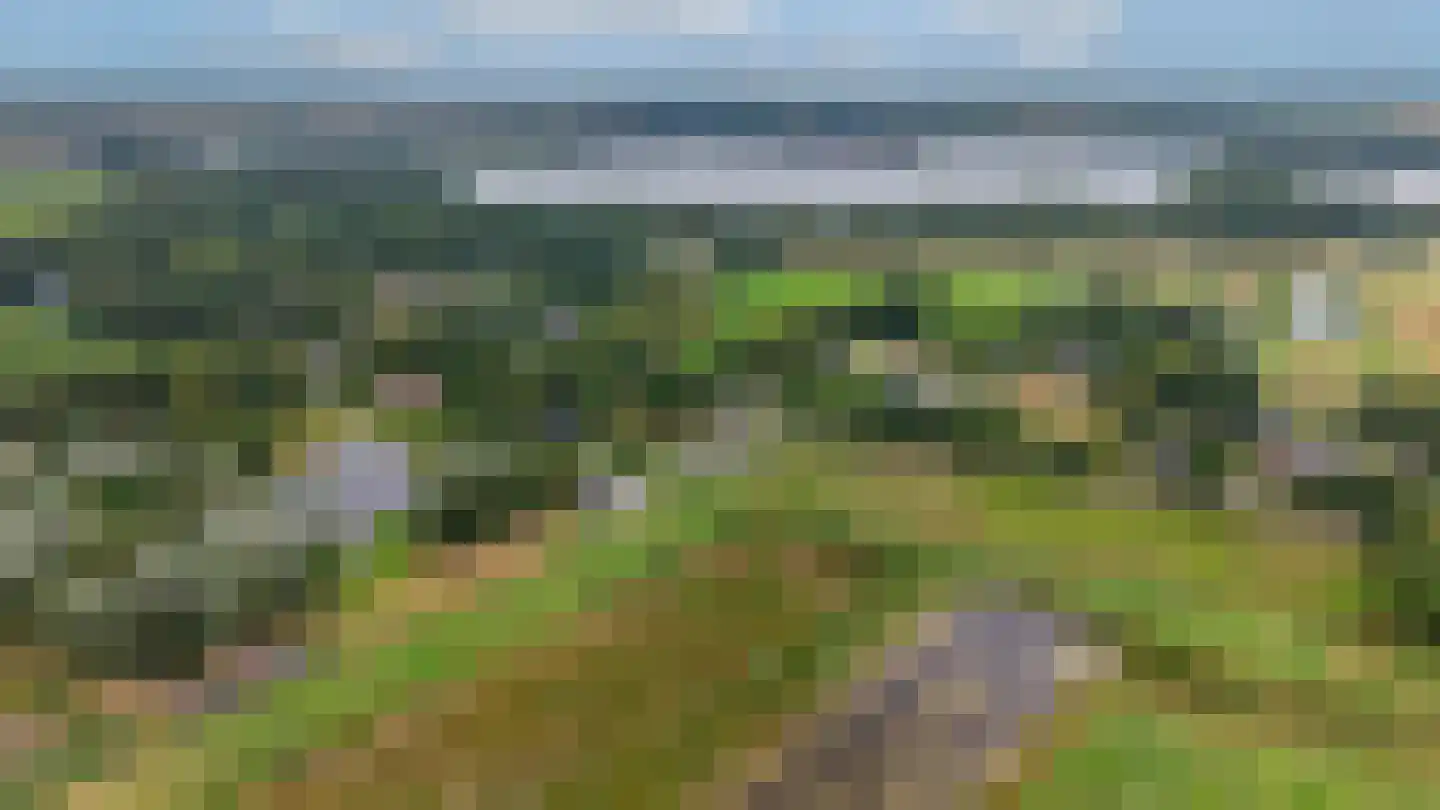 Borgweg 14 Scharmer thumbnail 64
