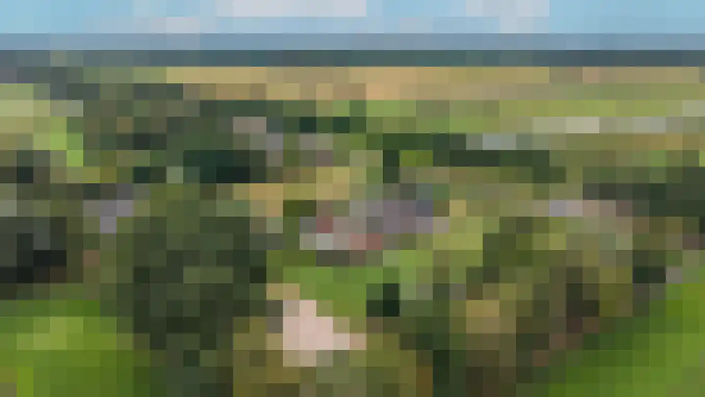 Borgweg 14 Scharmer thumbnail 65