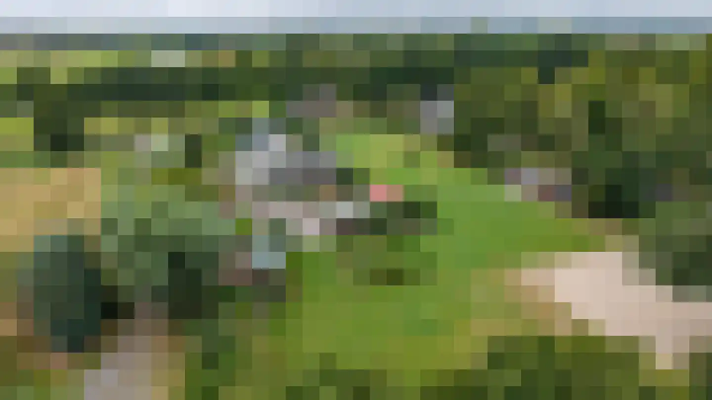Borgweg 14 Scharmer thumbnail 66