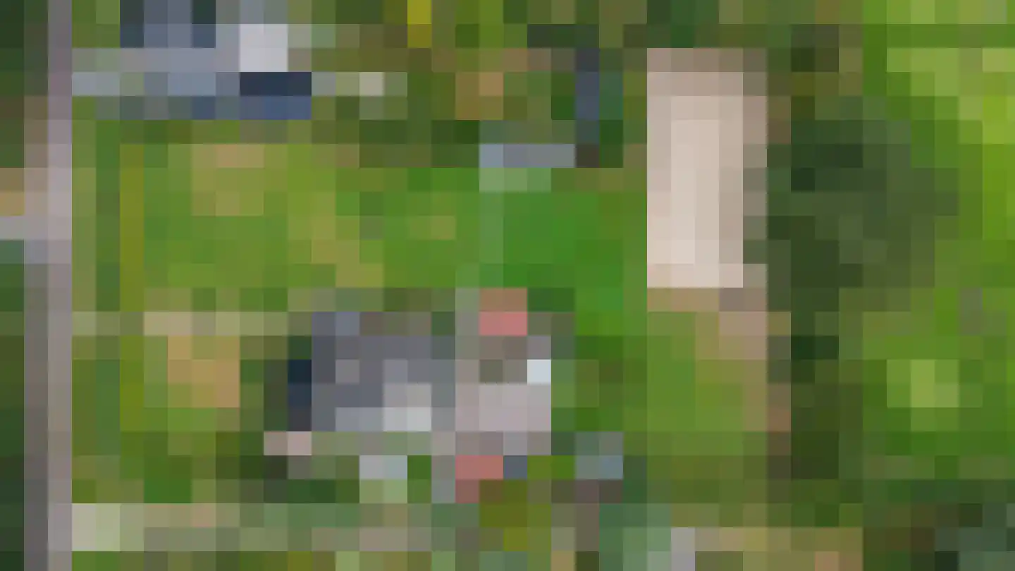 Borgweg 14 Scharmer thumbnail 67