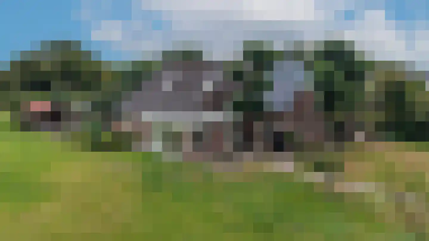 Borgweg 14 Scharmer thumbnail 68