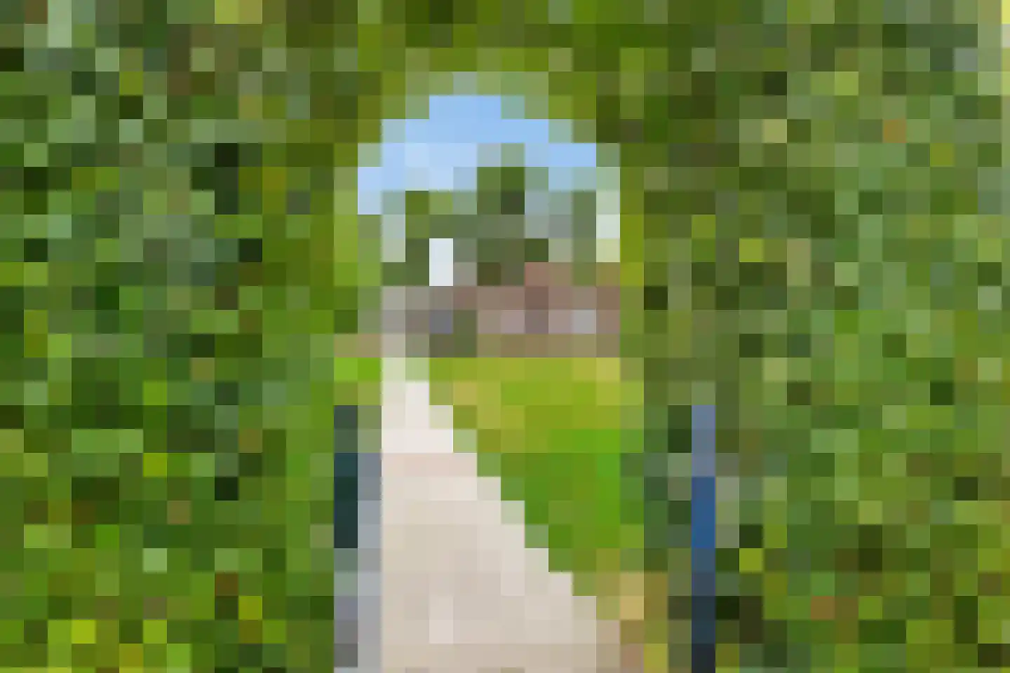 Borgweg 14 Scharmer thumbnail 7