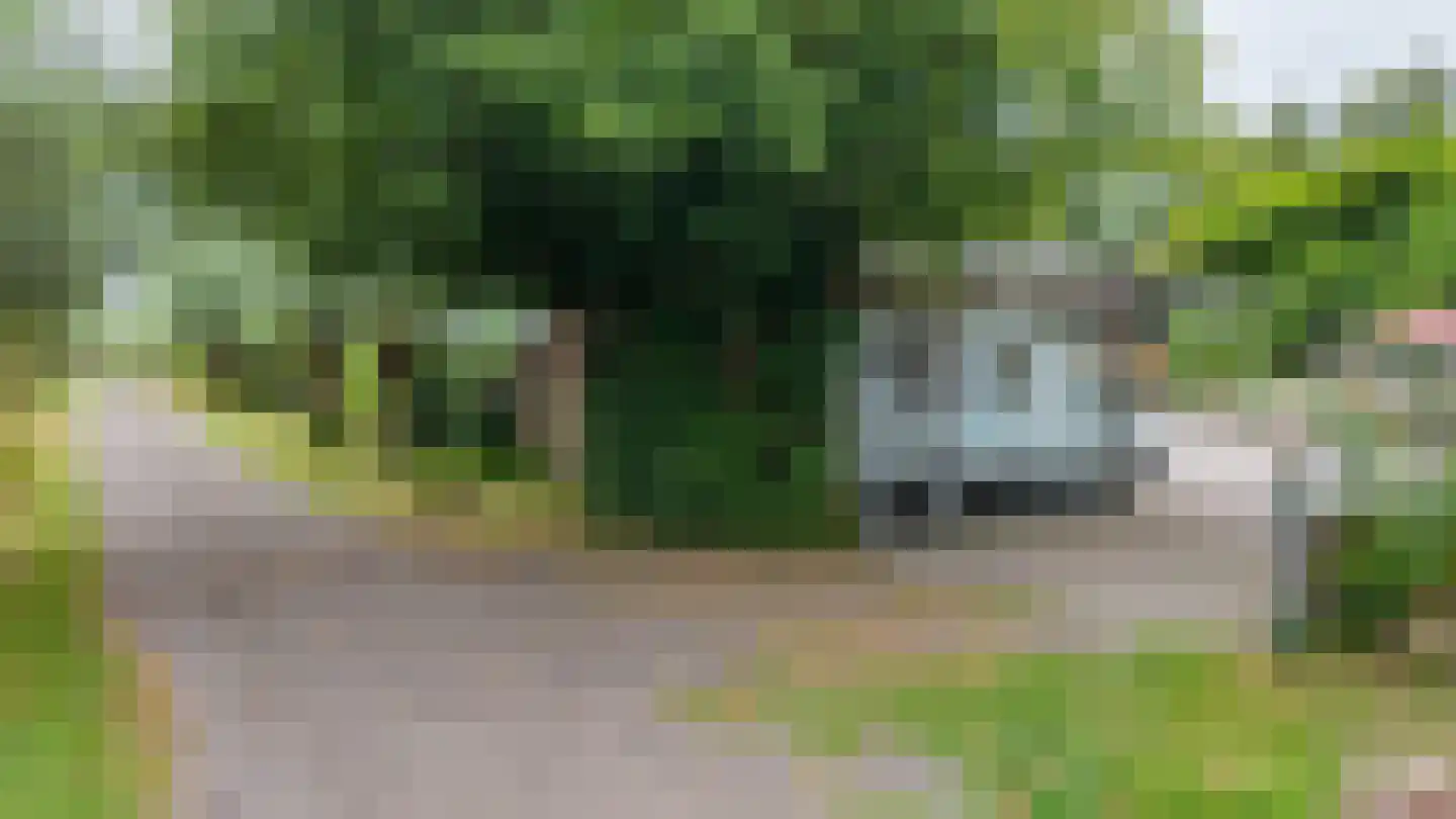 Borgweg 14 Scharmer thumbnail 70