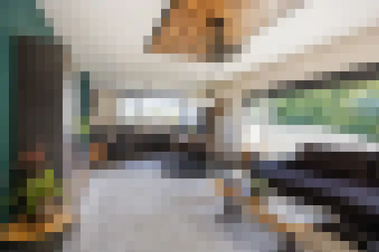 Borgweg 17 Uithuizen thumbnail 11