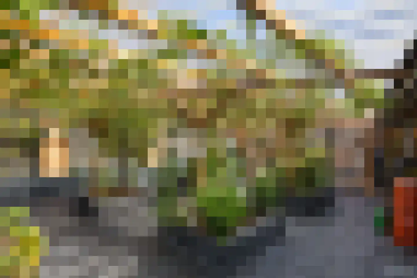Borgweg 17 Uithuizen thumbnail 46