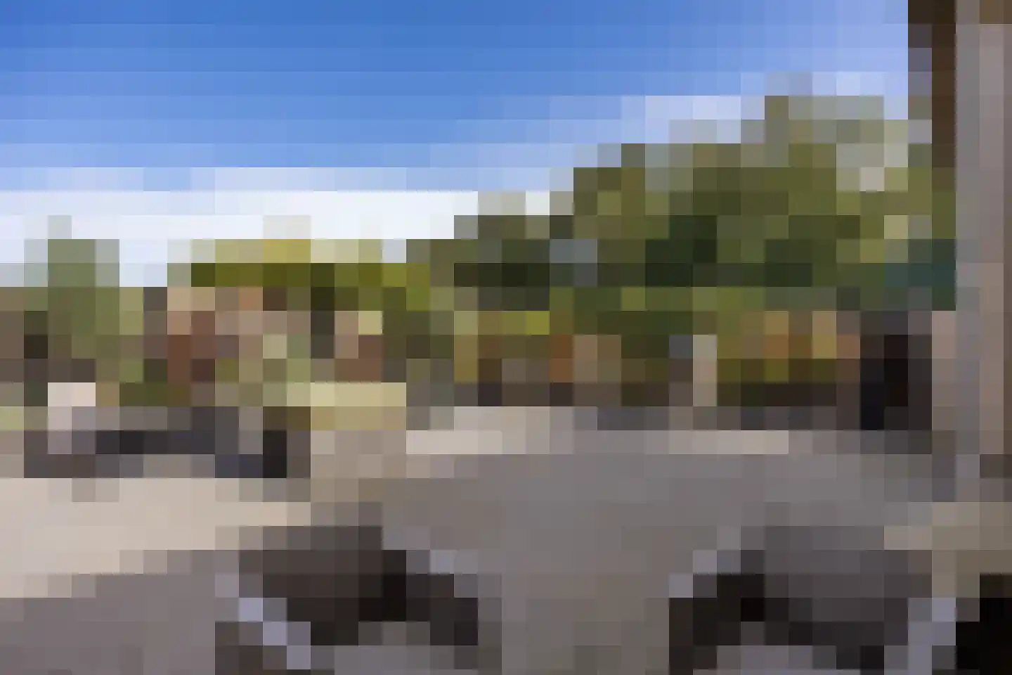 Borgweg 17 Uithuizen thumbnail 49