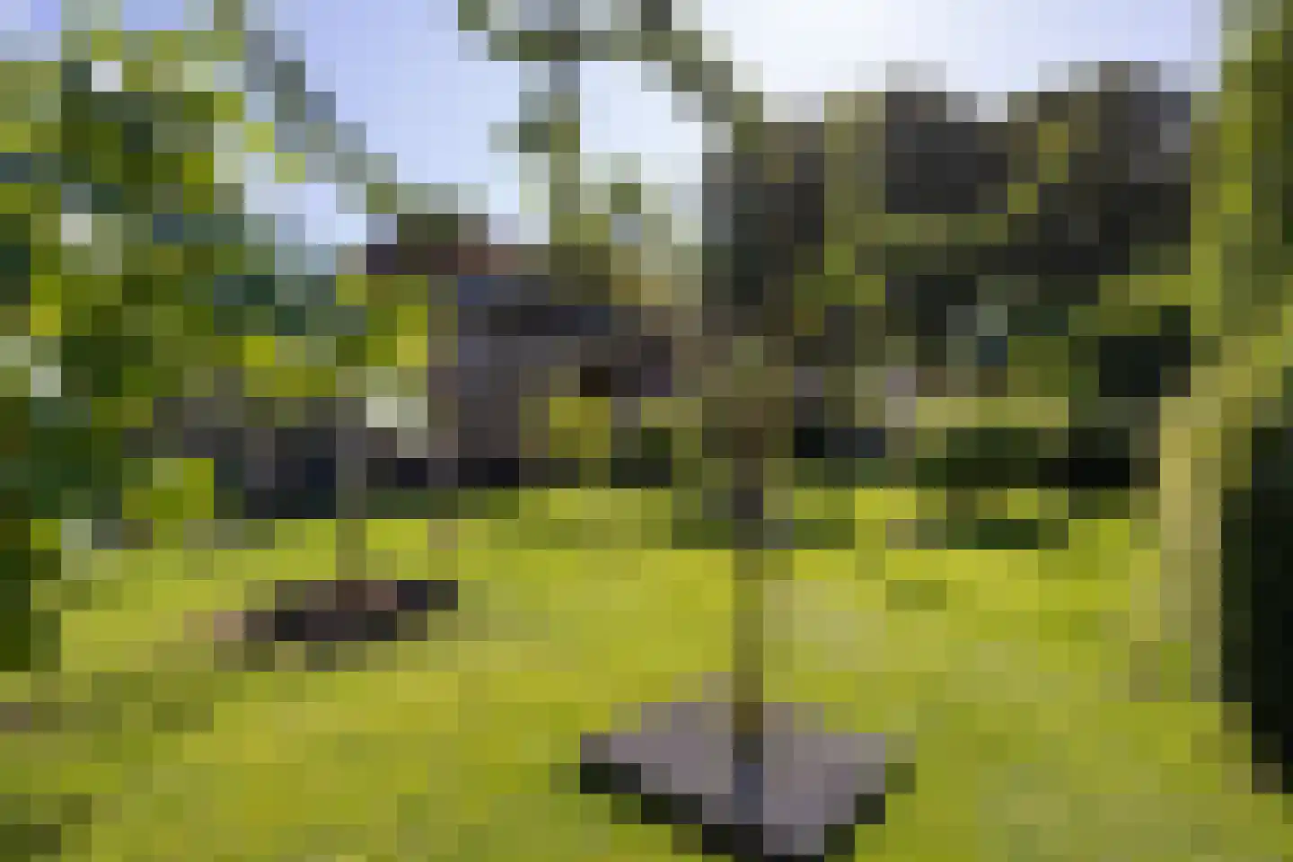 Borgweg 17 Uithuizen thumbnail 56