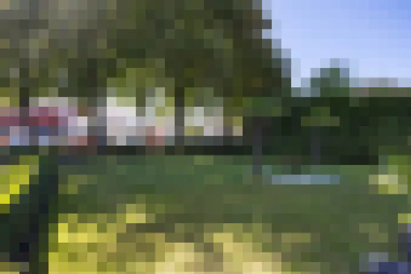 Borgweg 17 Uithuizen thumbnail 62