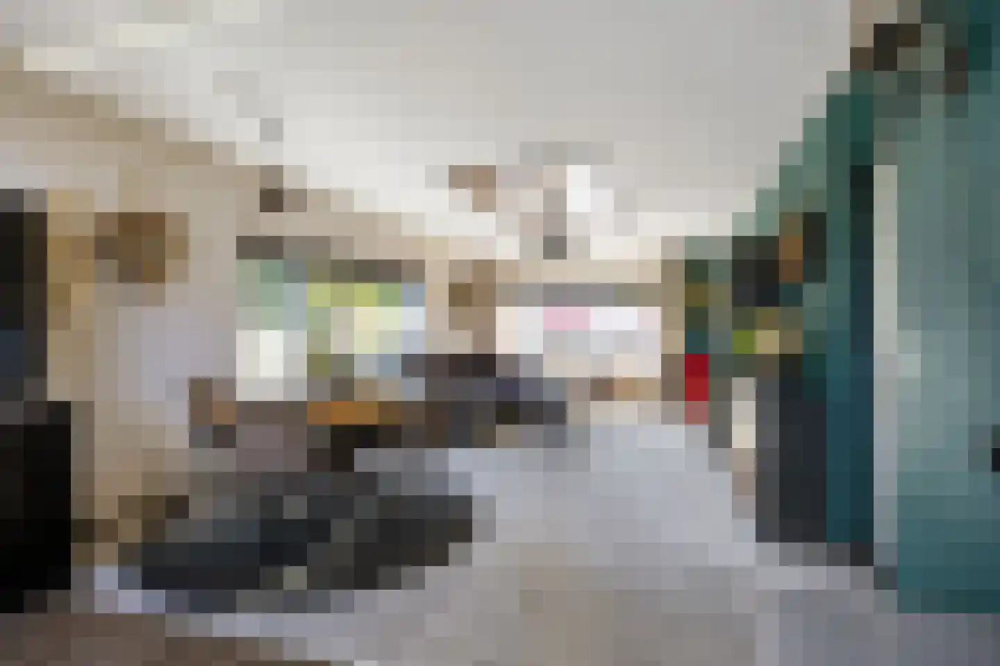Borgweg 17 Uithuizen thumbnail 8