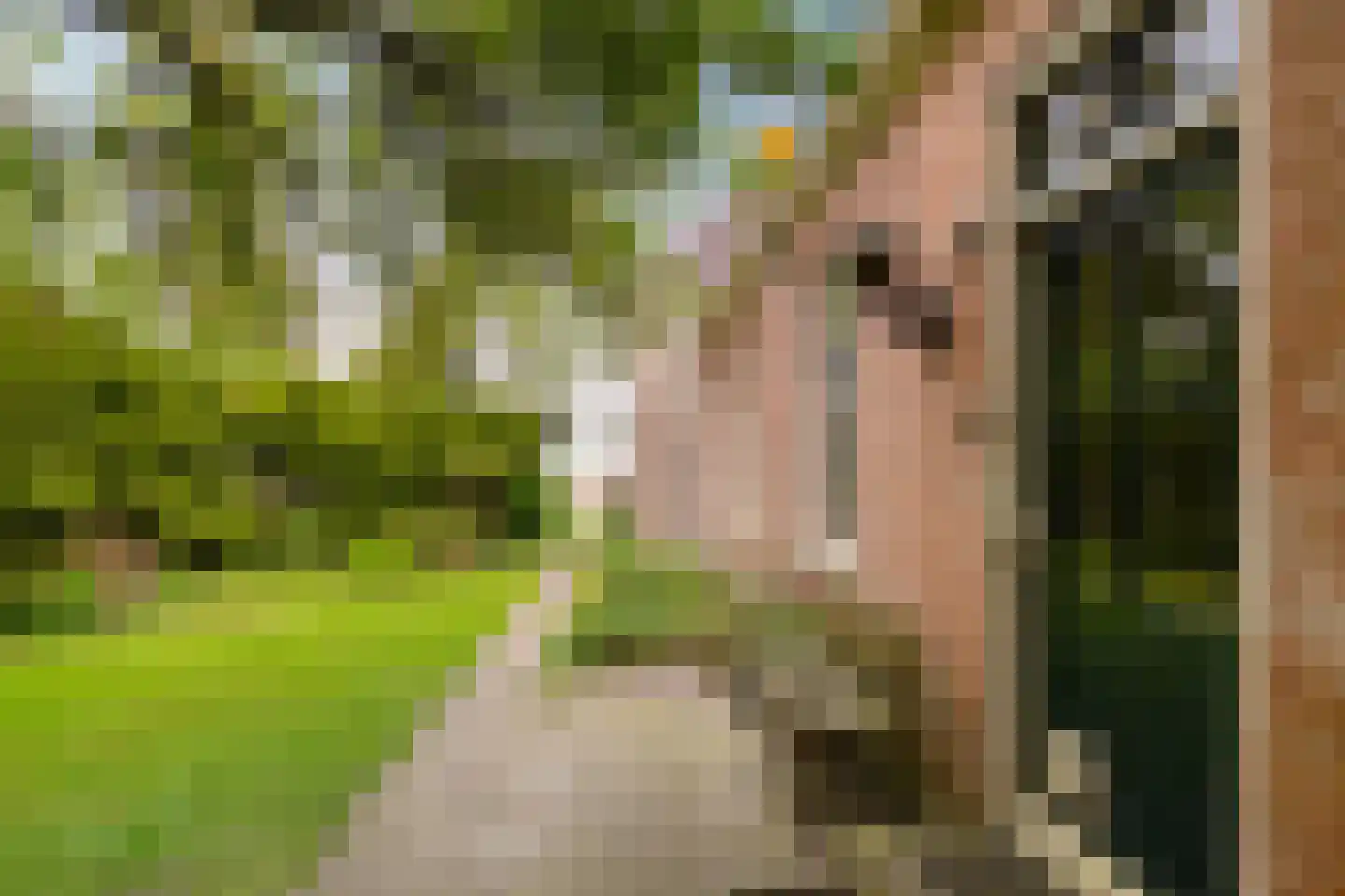 Borgweg 23 Lellens thumbnail 11