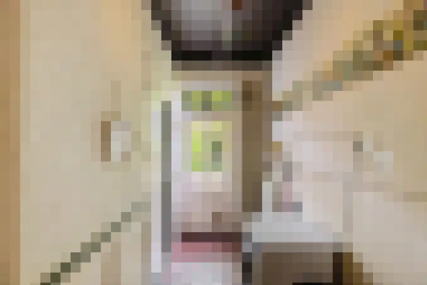 Borgweg 23 Lellens thumbnail 19