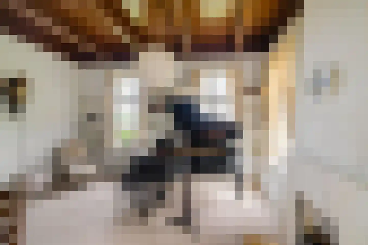 Borgweg 23 Lellens thumbnail 32