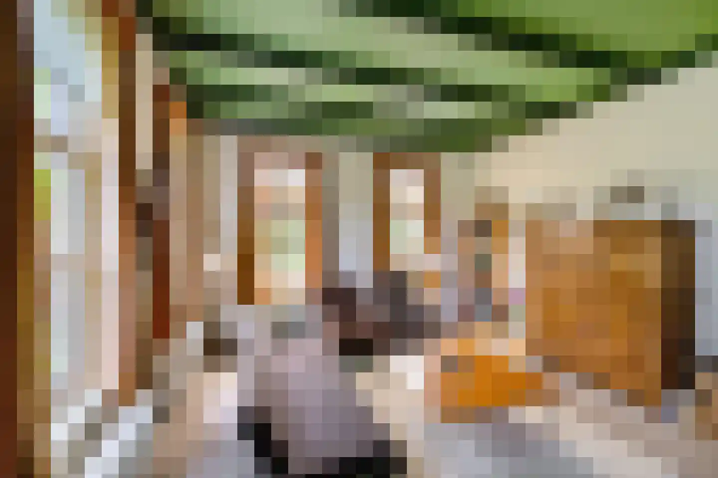 Borgweg 23 Lellens thumbnail 34