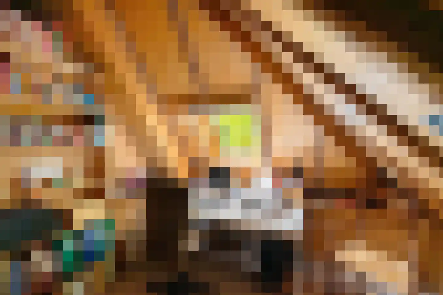 Borgweg 23 Lellens thumbnail 48