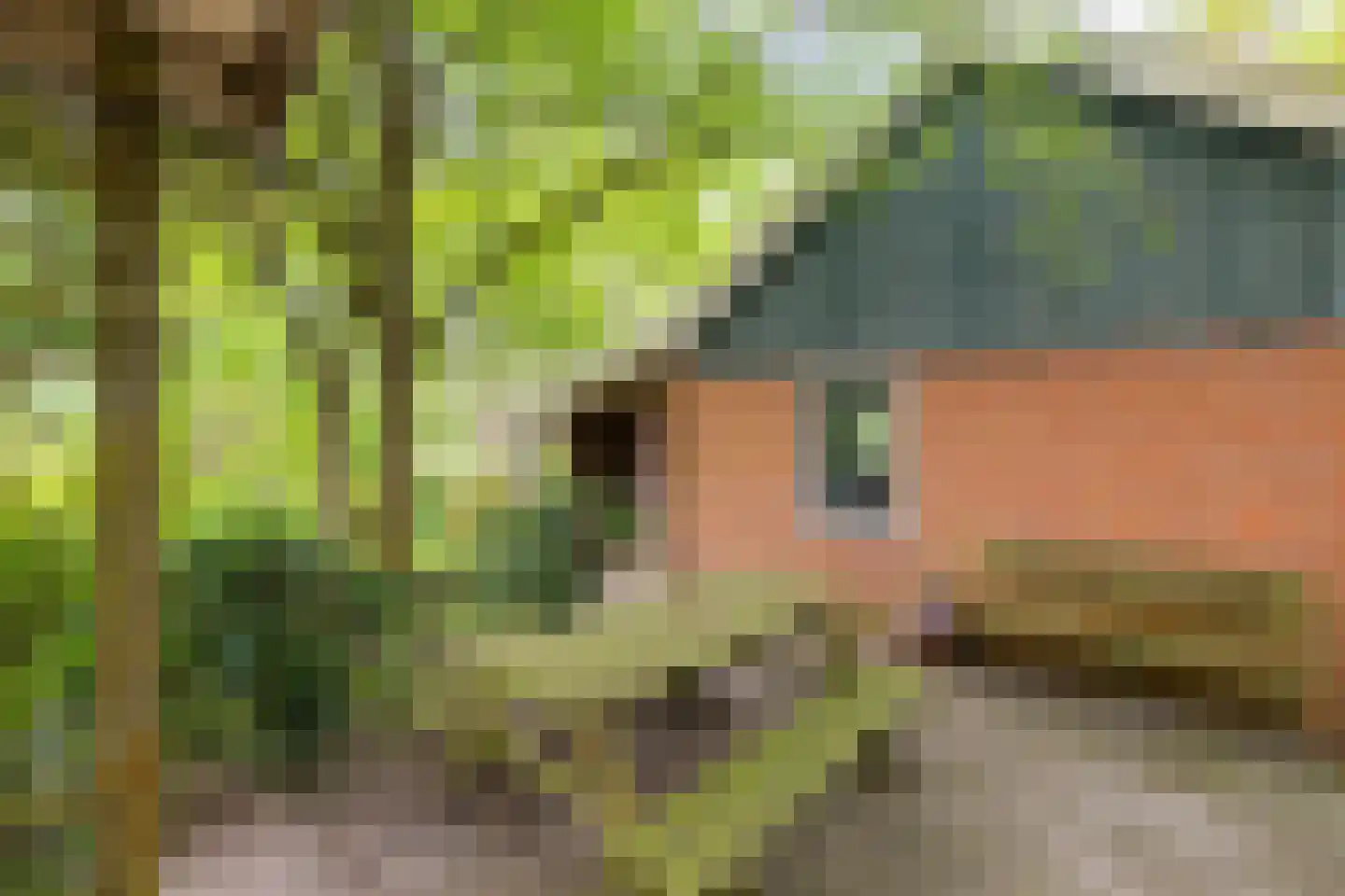 Borgweg 23 Lellens thumbnail 60